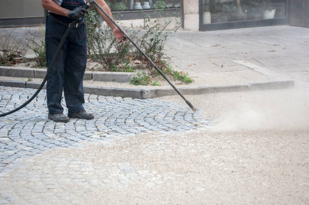 Best Animal Enclosure Cleaning  in West Lealman, FL